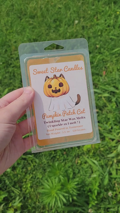 Jelly Gel Wax Melt Pumpkin Patch Cat Scented Extra Large | 5.3 oz