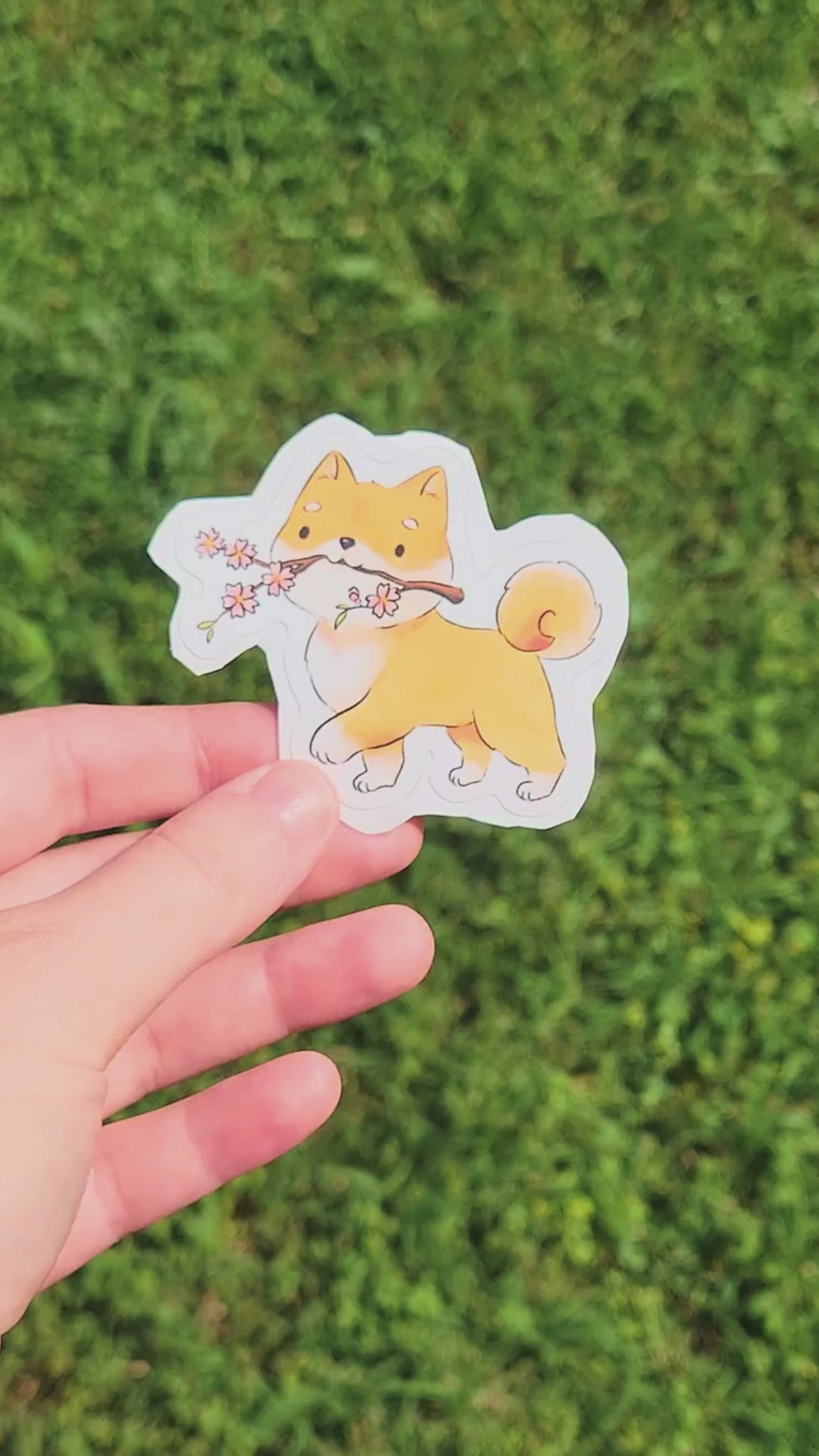 shiba inu sticker