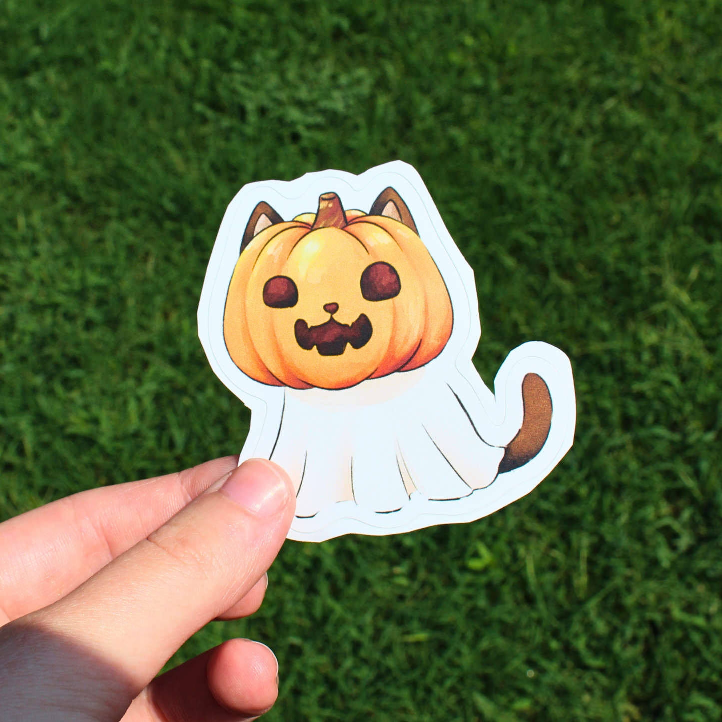 a cat wearing a pumpkin and ghost outfit