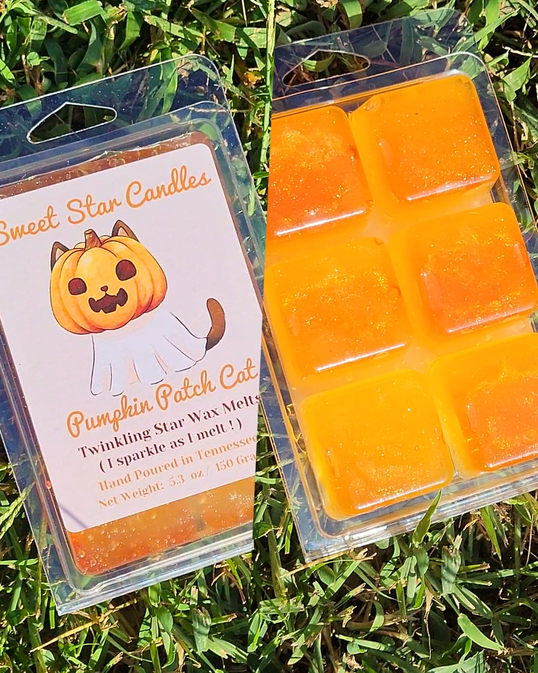 Two clear plastic wax melt clamshells on grass. One package shows the front label reading 'Sweet Star Candles Pumpkin Patch Cat' with a pumpkin illustration, and the other shows six orange wax cubes inside a clamshell.